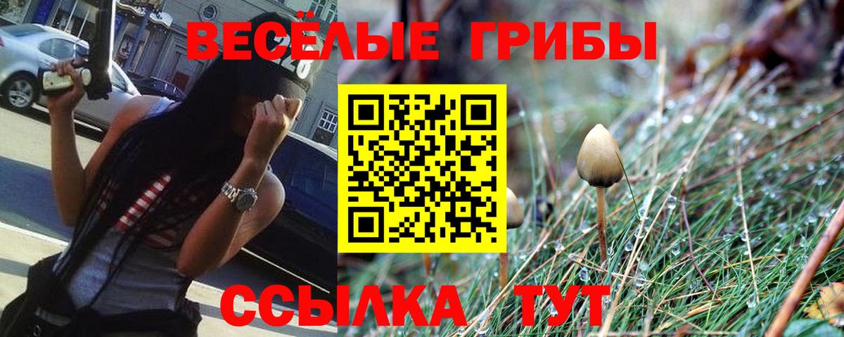 Галлюциногенные грибы мицелий Мариинск